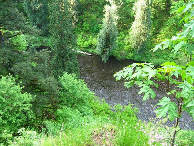 Eagle Creek-111.JPG - Eagle Creek